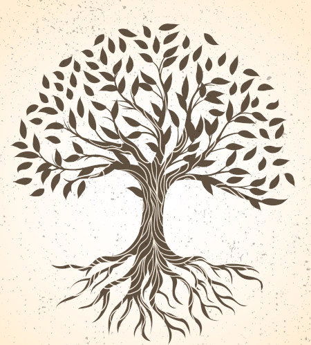 naturopathe à Caluire-et-Cuire 